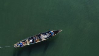 Ministério da Pesca cancela mais de 76 mil licenças de pescadores