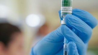 Equipes do SUS começam a receber vacina do Butantan contra a dengue Equipes do SUS começam a receber vacina do Butantan contra a dengue