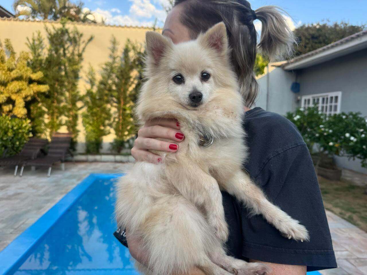 Cachorro é encontrado no bairro Recanto Tropical Cachorro é encontrado no bairro Recanto Tropical
