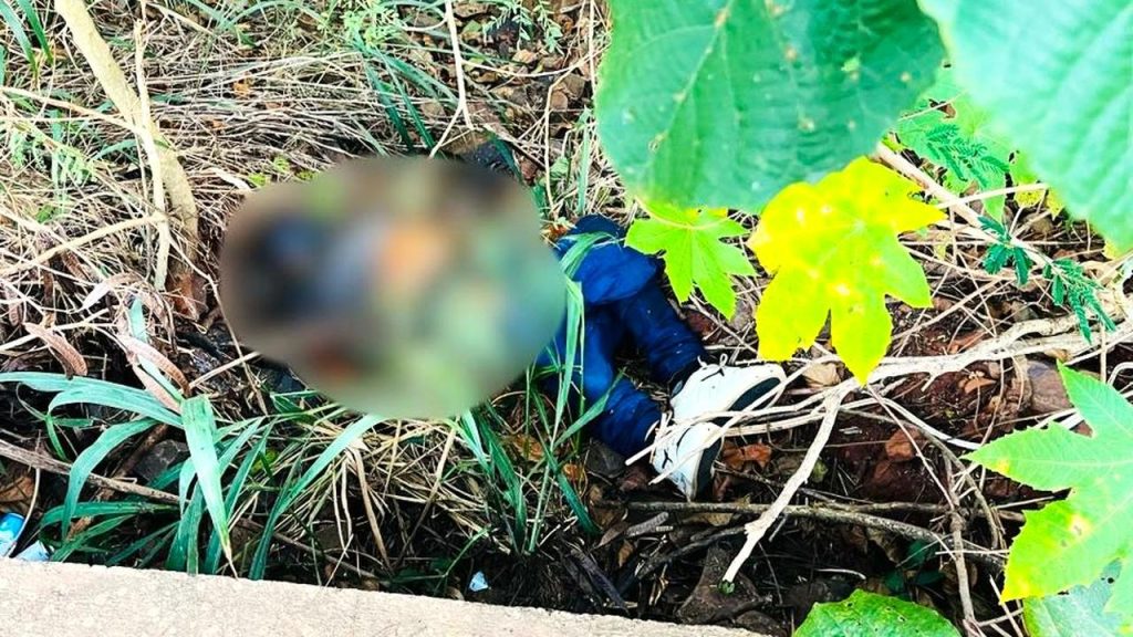 Homem é encontrado morto em área de mata no bairro Porto Belo, em Foz do Iguaçu