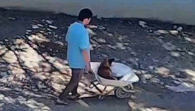 Imagem referente a Vídeo! Homem é preso após levar cachorro vivo para mata por R$ 30 em Campo Largo