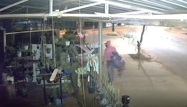 Imagem referente a Câmera flagra furto de vaso de flores no Bairro Esmeralda, em Cascavel