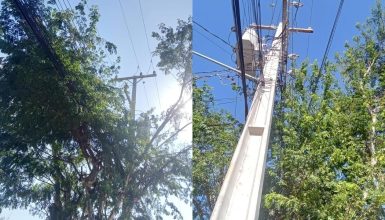 Imagem referente a Contato de galhos de árvores na rede elétrica causa desligamento na Rua Vereador José de Oliveira