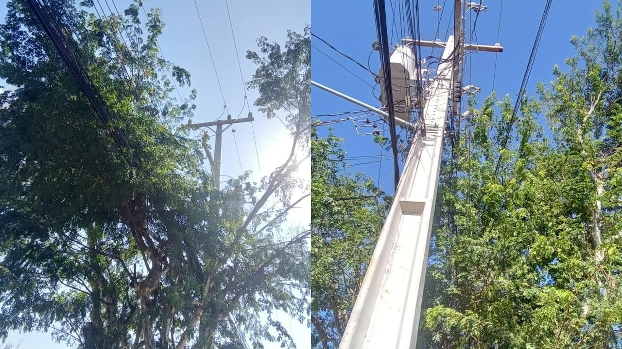 Contato de galhos de árvores na rede elétrica causa desligamento na Rua Vereador José de Oliveira Contato de galhos de árvores na rede elétrica causa desligamento na Rua Vereador José de Oliveira
