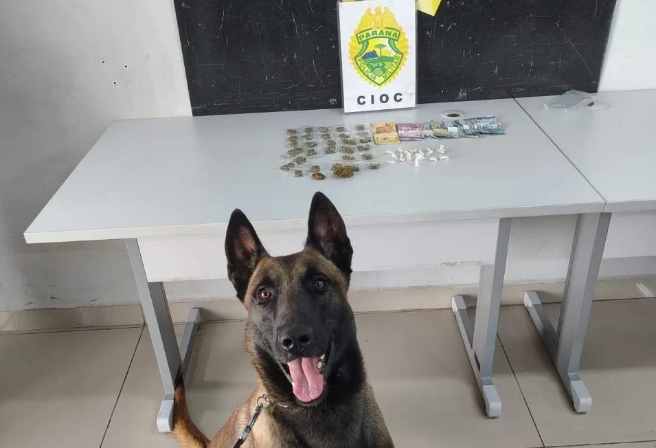 Suspeitos de tráfico de drogas tentam fuga, mas vão parar em cana ao dar de cara com a PM