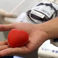 Imagem referente a Carnaval: Saúde reforça valor da doação de sangue para manter estoque