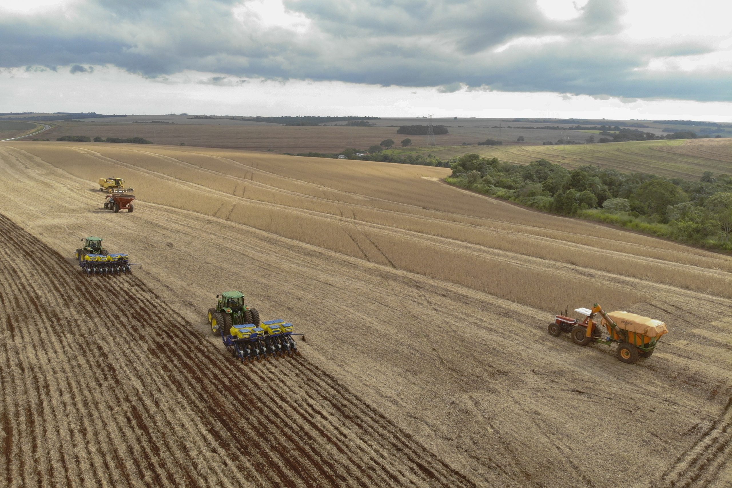 Paraná bate recorde na soja e lidera exportação de frango, mas preços caem Paraná bate recorde na soja e lidera exportação de frango, mas preços caem