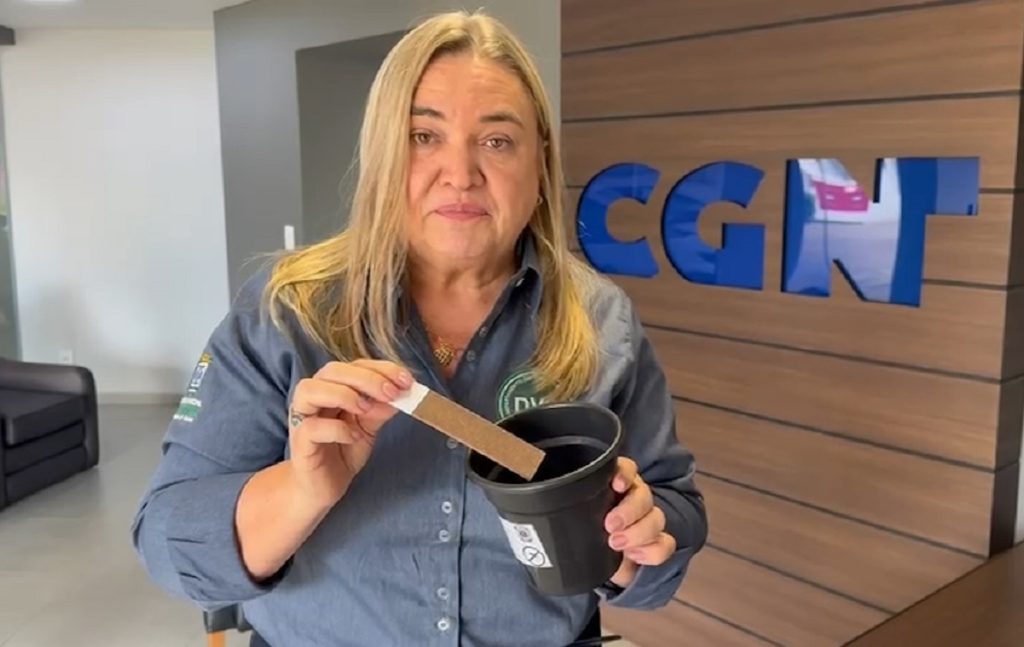 Alerta: “Cascavel tem três casos confirmados de dengue e 315 prováveis”, diz Vigilância em Saúde Ambiental