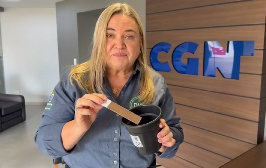 Alerta: “Cascavel tem três casos confirmados de dengue e 315 prováveis”, diz Vigilância em Saúde Ambiental