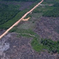 Imagem referente a Alertas de desmatamento caem 35% na Amazônia e 6% no Cerrado