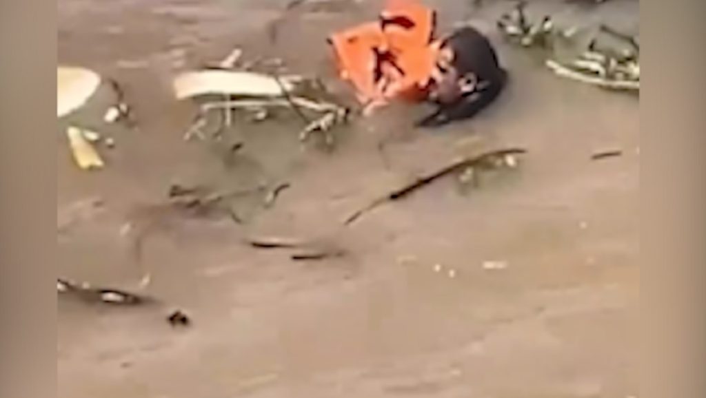 Rios Negro e Solimões: Com dois mortos confirmados, buscas por desaparecidos completam 15 horas