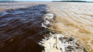 Naufrágio no Amazonas deixa dois mortos e sete pessoas desaparecidas