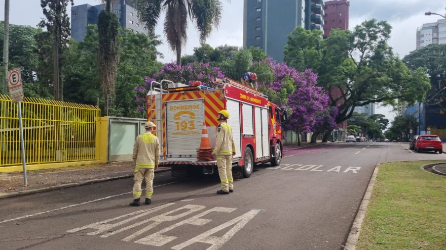 Caminhão ABTR dos Bombeiros é acionado para retirar tronco que caiu e bloqueou passagem no Centro de Cascavel