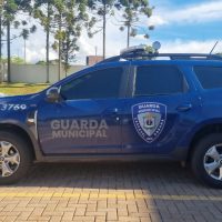 Imagem referente a Homem é detido pela GM após enforcar e pisotear companheira em Cascavel Velho