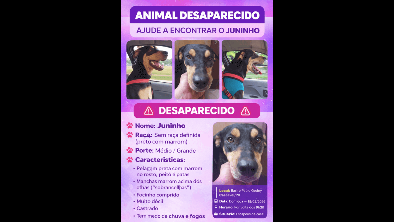 Cachorro Juninho desapareceu no bairro Santa Cruz
