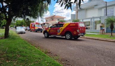 Imagem referente a Adolescente de 14 anos é encontrado morto no Pioneiros Catarinenses