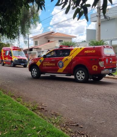 Imagem referente a Adolescente de 14 anos é encontrado morto no Pioneiros Catarinenses