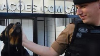 Morre policial que estava na viatura envolvida em acidente na PR-323 em Doutor Camargo