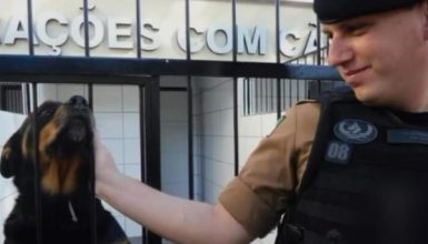 Imagem referente a Morre policial que estava na viatura envolvida em acidente na PR-323 em Doutor Camargo