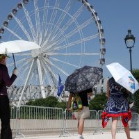 Imagem referente a Europa: temperatura alta pode elevar transmissão do vírus Chikungunya