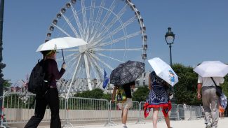 Europa: temperatura alta pode elevar transmissão do vírus Chikungunya