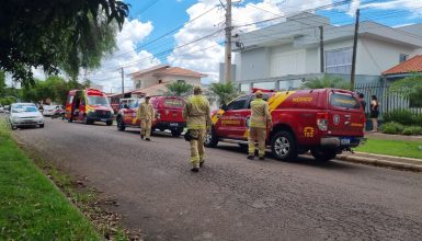Imagem referente a Adolescente de 14 anos é encontrado morto no Pioneiros Catarinenses