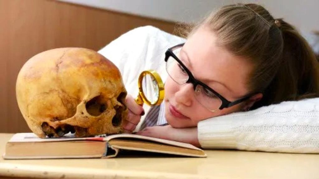 Diversidade cultural e evolução humana marcam celebração internacional da Antropologia