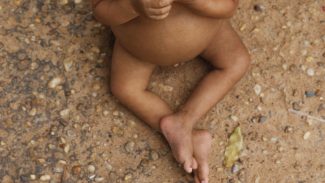 Vulnerabilidade reduz altura média de crianças indígenas e nordestinas Vulnerabilidade reduz altura média de crianças indígenas e nordestinas