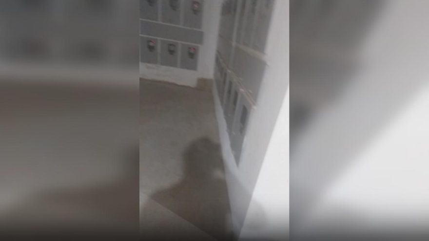 Imagens fortes: Vídeo mostra momento em que corretora é atacada por síndico