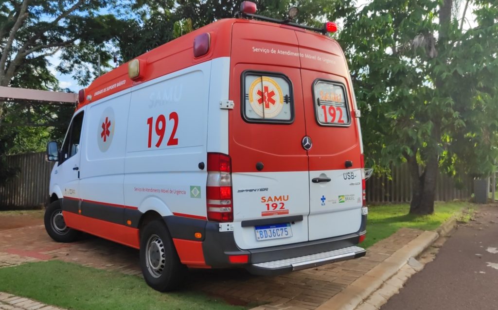 Mulher é atacada por enxame de abelhas no Parque Vitória Mulher é atacada por enxame de abelhas no Parque Vitória