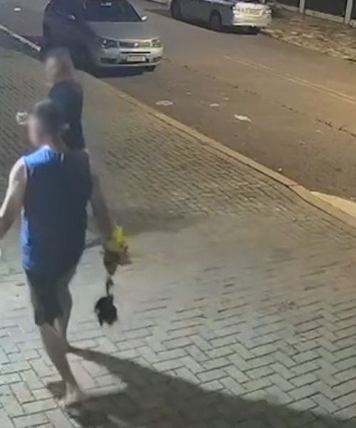 Câmera flagra casal furtando plantas em Cascavel Imagem referente a Câmera flagra casal furtando plantas em Cascavel