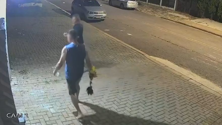 Câmera flagra casal furtando plantas em Cascavel