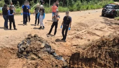 Cães mortos em sacos de lixo: Polícia Civil investiga fraude em cremação no Paraná Imagem referente a Cães mortos em sacos de lixo: Polícia Civil investiga fraude em cremação no Paraná