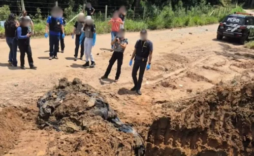 Cães mortos em sacos de lixo: Polícia Civil investiga fraude em cremação no Paraná