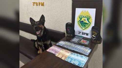 Polícia Militar apreende cocaína em estabelecimento comercial após denúncia no bairro São Cristóvão