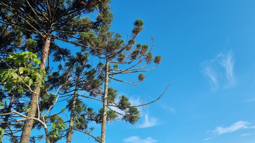 Domingo será de calor e instabilidade em Cascavel, aponta Simepar