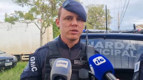 “Sofreu hemorragia”, relata GM sobre Beagle resgatado com ferimento na região anal Imagem referente a “Sofreu hemorragia”, relata GM sobre Beagle resgatado com ferimento na região anal