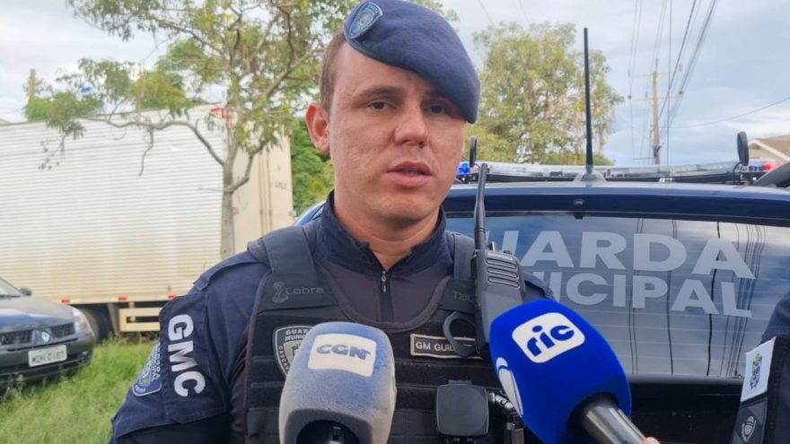“Sofreu hemorragia”, relata GM sobre Beagle resgatado com ferimento na região anal