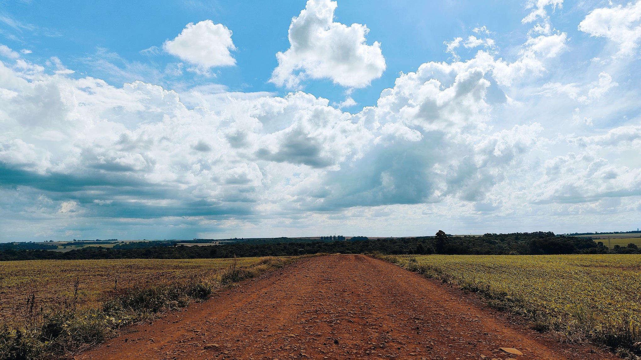 Domingo começa calmo, mas chuva promete mudar o tempo em Cascavel Imagem referente a Domingo começa calmo, mas chuva promete mudar o tempo em Cascavel