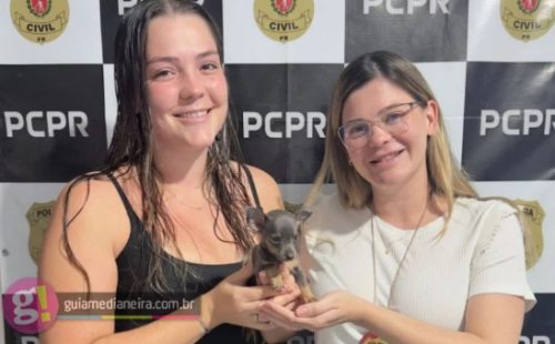 Polícia Civil identifica autores de furto de filhote e recupera animal em Matelândia Polícia Civil identifica autores de furto de filhote e recupera animal em Matelândia