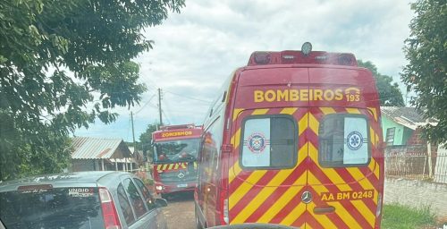 Ataque de abelhas deixa 11 feridos em Engenheiro Beltrão Ataque de abelhas deixa 11 feridos em Engenheiro Beltrão