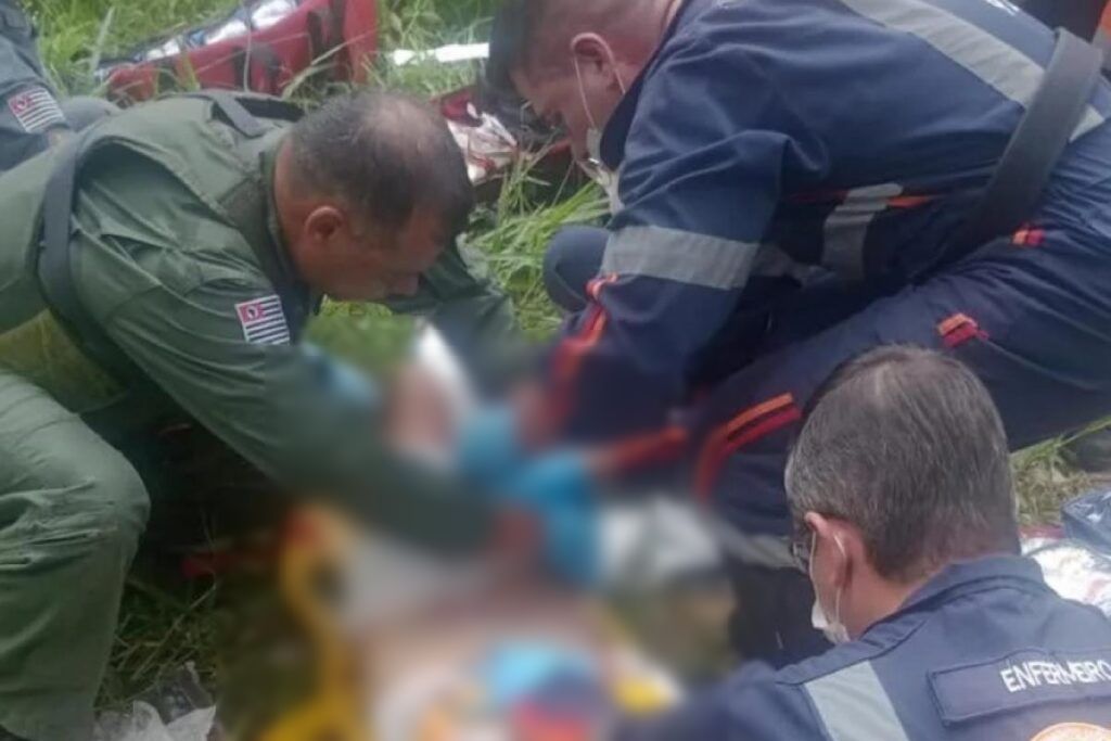 Idosa tem três membros amputados após ataque de pitbulls Idosa tem três membros amputados após ataque de pitbulls