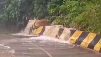 Chuvas deixam 384 desabrigados em Peruíbe, no litoral paulista