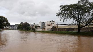 Juiz de Fora e Ubá somam 40 mortes devido aos temporais