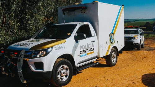 Catador de recicláveis morre após sofrer lesões graves no rosto durante agressão; Autor foi preso Catador de recicláveis morre após sofrer lesões graves no rosto durante agressão; Autor foi preso