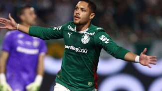 Palmeiras derrota Fluminense e mantém liderança do Brasileiro Palmeiras derrota Fluminense e mantém liderança do Brasileiro