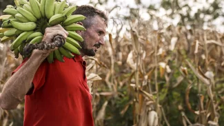 Câmara aprova uso de recursos do FGO em operações do Pronaf Câmara aprova uso de recursos do FGO em operações do Pronaf