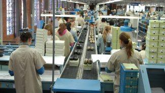 Empresas têm até este sábado para enviar dados salariais por gêneros