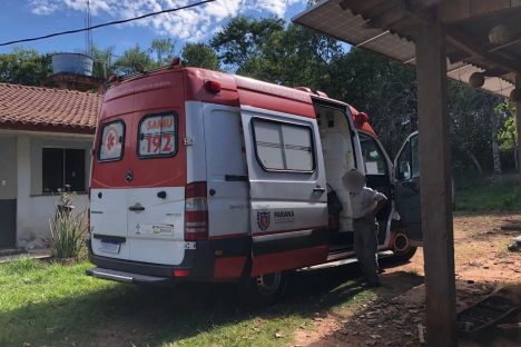 Idoso de 74 anos é socorrido pelo Samu após ser ferroado por mais de 50 abelhas