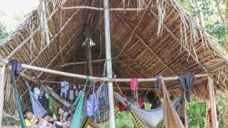 Povo Parakanã, do Pará, reocupa território após retirada de invasores 